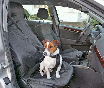 Zdjęcie produktu dla Car Seat Cover Karlie 130X70Cm