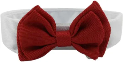Produktbild von Hundehalsband – Rückenlänge 30 cm – Baumwolle – Verstellbar