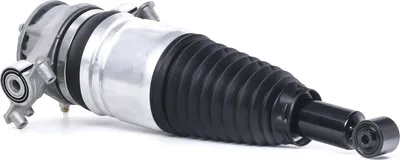 Produktbild von RIDEX 4118A0072 Luftfederbein Stoßdämpfer Hinten Rechts für VW Touareg (7P5, 7P6) für PORSCHE Cayenne (92A)