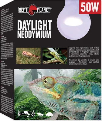 Image de Ampoule néodyme 50 W lumière du jour