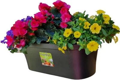 A planter box filled with colorful flowers, set against a white background.