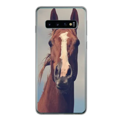 Produktbild von MuchoWow® Handyhülle Schutzhülle Hülle für Samsung Galaxy S10 Pferd - Wolken - Porträt Silikon Softcase Handy Hülle - Handytasche