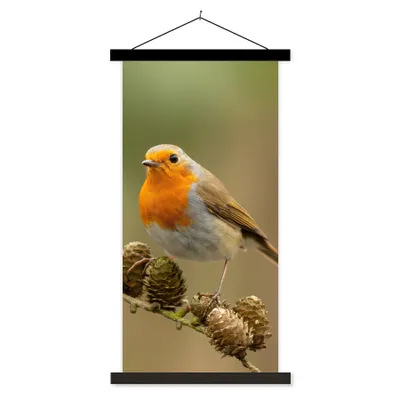 Produktbild von MuchoWow® Textilposter Vogel - Rotkehlchen - Tannenzapfen - Zweig - Herbst 40x80 cm mit schwarzem Rahmen - Wandemalerei