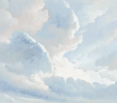 Immagine prodotto di Sanders & Sanders fotomurale nuvole blu 318 x 280 cm