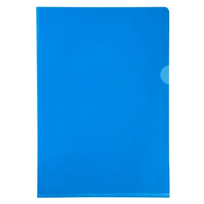 Image de Exacompta Etui carton de 100 pochettes coin PVC A4 assort 661200E