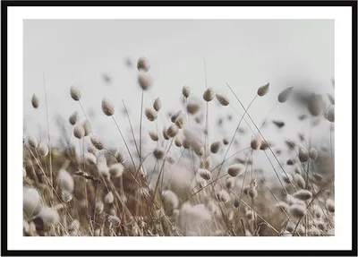 Produktbild von BILDPOSTER IM RAHMEN 33x43 cm Boho P2244
