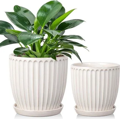 Obrázok produktu pre Sada keramických kvetináčov Famanu – biela, 13 cm a 15 cm – 2 kusy