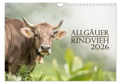 Produktbild von Allgäuer Rindvieh 2026 (Wandkalender 2026 DIN A4 quer), CALVENDO Monatskalender