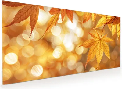 Produktbild von Küchenrückwand Spritzschutz Glas mit Motiv Herbstlich Glitzernd 40 x 40 cm