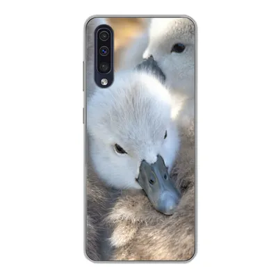 Produktbild von MuchoWow® Handyhülle Schutzhülle Hülle für Samsung Galaxy A30s Schwäne - Licht - Küken Silikon Softcase Handy Hülle - Karteninhaber