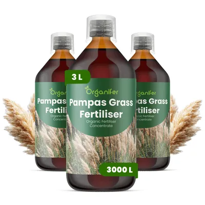 Obrázek produktu pro Pampová Tráva Tekuté Hnojivo 3x1 L – 2-1-8 NPK – Pro Pampovú Trávu – Podporuje Rovnomerný Růst & Silné Steblá – Organifer