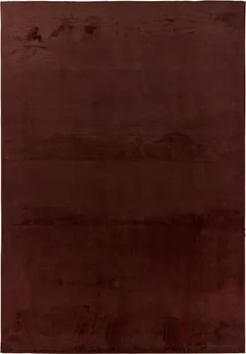 Image de Le tapis de salon LYN50, ultra-doux, uni et lavable, est également idéal pour la chambre à coucher.