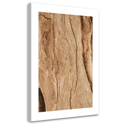 Produktbild von Leinwandbild Baum ohne Rinde 60x90 Feeby Beige bild für die wand bereit zum aufhängen