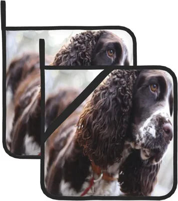 Immagine prodotto di Kit di ricambi Kartellager, set da 22 pezzi per Scrambler 500 2x2 4x4 1997-2008