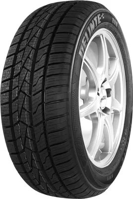 Produktbild von Delinte AW 5 165/70R13 79T Ganzjahresreifen ohne Felge