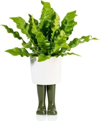 Produktbild von Gummistiefel Mini Blumentopf in grün