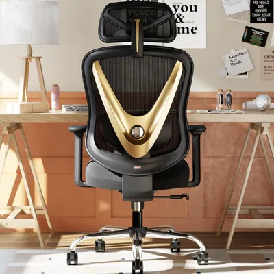 Image de Chaise de bureau ergonomique avec support lombaire, accoudoirs réglables et dossier en forme de V, de couleur noire et or