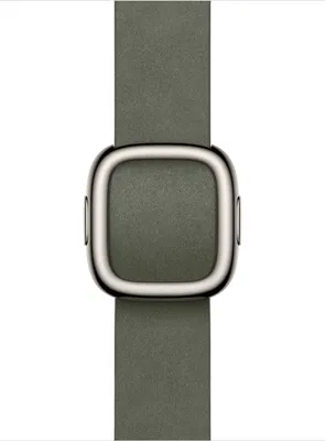 Image de Apple MGG94ZM/A accessoire intelligent à porter sur soi Bande Gris Polyester