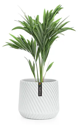 Image de Fox & Fern Pot de Fleur Interieur et Extérieur, Jardinieres Exterieur, Pot Plante Résistant UV et Gel avec Bouchon de Drainage, Polystone, Jardiniere, Pot de Fleur Exterieur Grande Taille, Pot Unique