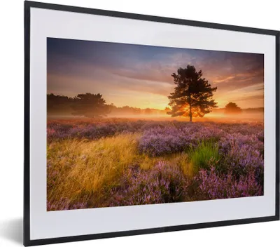Produktbild von MuchoWow® MuchoWow® Gerahmtes Poster Heidelandschaft mit einem Baum 40x30 cm - Poster mit zchwarzem Bilderrahmen - Bilderrahmen - Poster im Rahmen