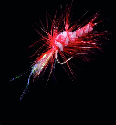 Produktbild von Jenzi Meeresbeifänger Shrimp red 3/0