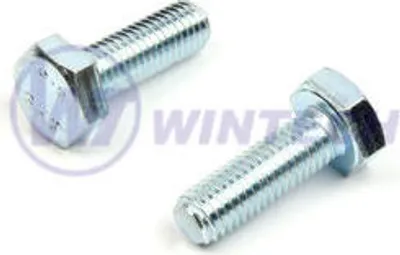 Produktbild von Schraube DIN 933 8.8 M10 x 45 ZB / Paket 1 St.