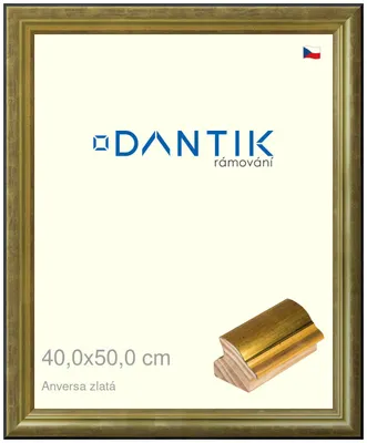 Zdjęcie produktu dla Ramka DANTIK 40x50 | ANIVERSA złota (Plexi Clear)