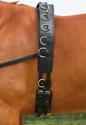 Produktbild von Longiergurt PROFESSIONAL-LEDER, Farbe:Schwarz, Größe:WB