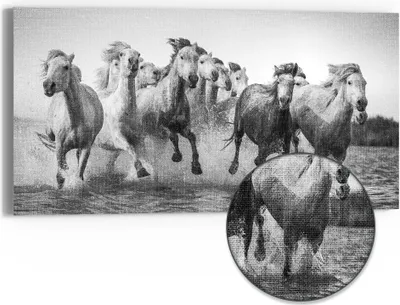 Produktbild von DEQORI Hybrid Leinwand Bild 60x30 cm 'Freiheit im Galopp' Wandbild Glas flach modern