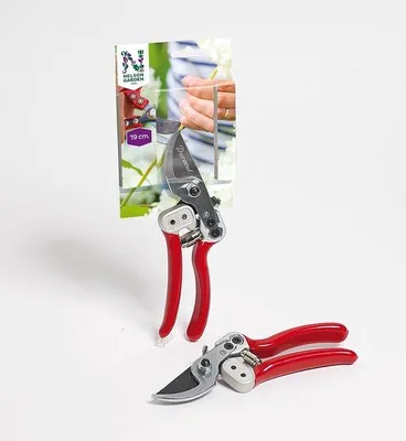 Immagine prodotto di Forbici da giardino (19 cm) | Forbici Nelson Garden