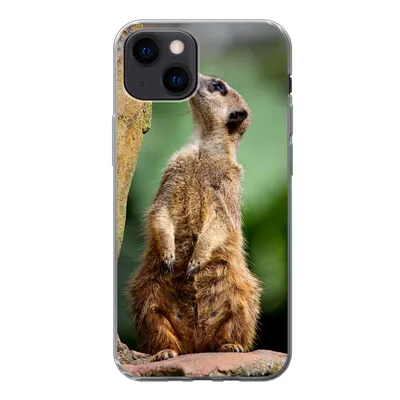 Produktbild von MuchoWow® Handyhülle Schutzhülle Hülle für iPhone 13 mini Erdmännchen - Tier - Rock Silikon Softcase Handy Hülle - Softcase