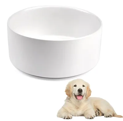 Image de Solidchoice - Gamelle en céramique pour chiens, 850 ml, avec fond antidérapant