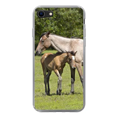 Produktbild von MuchoWow® Handyhülle Schutzhülle Hülle für iPhone 8 Pferde - Gras - Schatten Silikon Softcase Handy Hülle - Schutzhaube