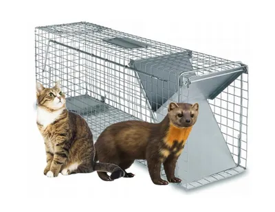 Produktbild von Lebendfalle / Tierfalle für Ratten, Wiesel, Katzen und Marder – zuverlässig & STABIL 82×20×27 cm