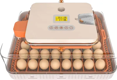 Immagine prodotto di Incubatrice, rotazione automatica delle uova, doppia alimentazione, 56 uova