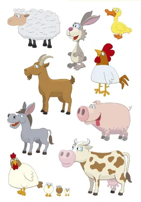 Produktbild von HERMA 3067 10x Sticker DECOR Lieblingstiere