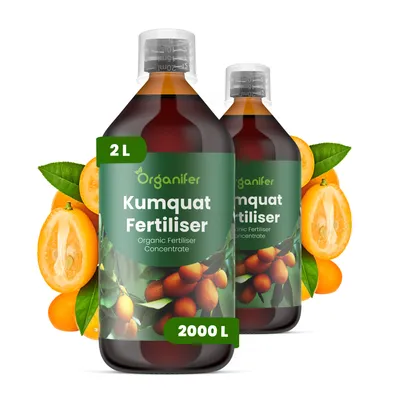 Produktbild von Kumquat Flüssigdünger 2x1L – 2-1-8 NPK – Flüssig-Pflanzendünger für stabile Kronenbildung – Organifer