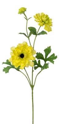 Produktbild von Künstlicher Ranunkelzweig ca. 71cm. Kunstblume Ranunkel. Gelb