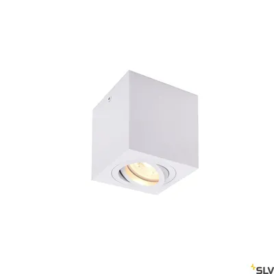Obrázok produktu pre SLV 1002015 TRILEDO Single Vnútorné stropné svietidlo QPAR51 biela max. 10W