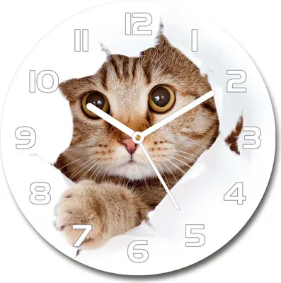 Produktbild von Wanduhr aus Glas 30fi Glasbild Glasuhr Gehärtetes Glas - weisse-zeiger - Cat