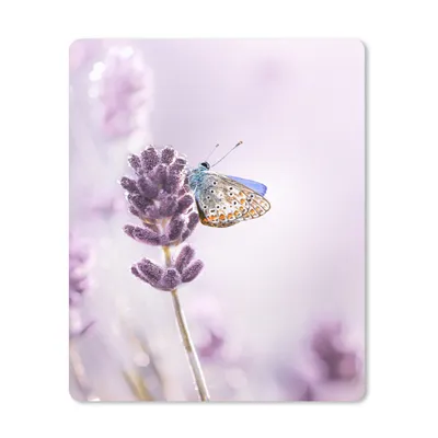 Produktbild von MuchoWow® Mauspad Mousepad Lavendel - Schmetterling - Nahaufnahme - Lila 30x40 cm - Mousepads - Maus Mat - Pad - Mausunterlage - Mausmatten