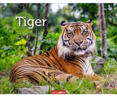 Obrázok produktu pre Kalendár Tiger 2027