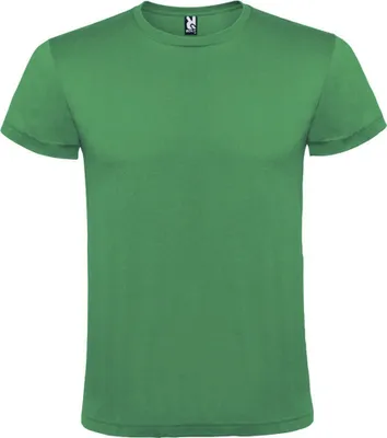 Image de Roly - T-shirt "Atomic" pour homme/femme unie PF4348 (L) (Vert irlandais)