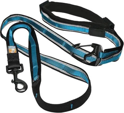 Produktbild von Famanu Hundeleine 6-in-1 - Verstellbare Leine aus robustem Nylon mit gepolstertem Handgriff und reflektierenden Streifen - Blau - Groß