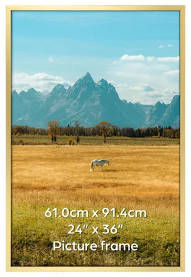 Produktbild von Bilderrahmen Gold, 60x90 cm, für Fotos 90x60 cm, Poster, Wanddekoration