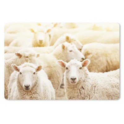 Produktbild von MuchoWow® Schreibtischunterlage Schafe - Wolle - Weiß 60x40 cm - XXL Mauspad - Großes Mauspad
