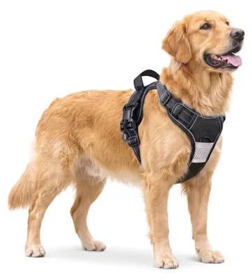 Image de Harnais pour chien anti-traction, noir, respirant, réglable, avec bandes réfléchissantes