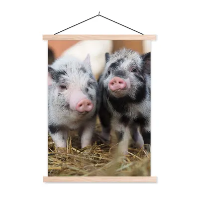 Produktbild von MuchoWow® Textilposter Schwein - Tiere - Ferkel 120x160 cm mit holzfarbenen Rahmen - Plakatkarton
