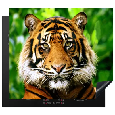 Produktbild von KitchenYeah© Herdabdeckplatte Tiger - Kopf - Wald , 59x52cm, Küche Deko, Glaskeramikkochfeld Herdabdeckung, Abdeckplatte fùr Kochfeld