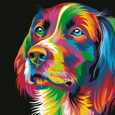 Immagine prodotto di Dipinto per numeri, cane colorato, 40X50 Cm, su tela incorniciata, creativo
